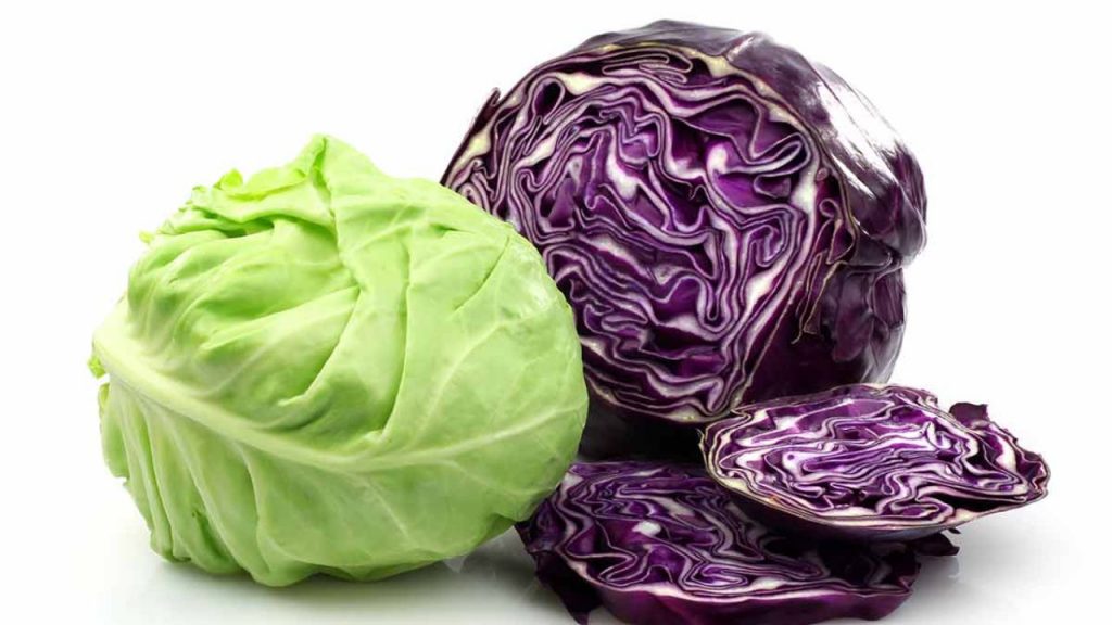 Cabbage