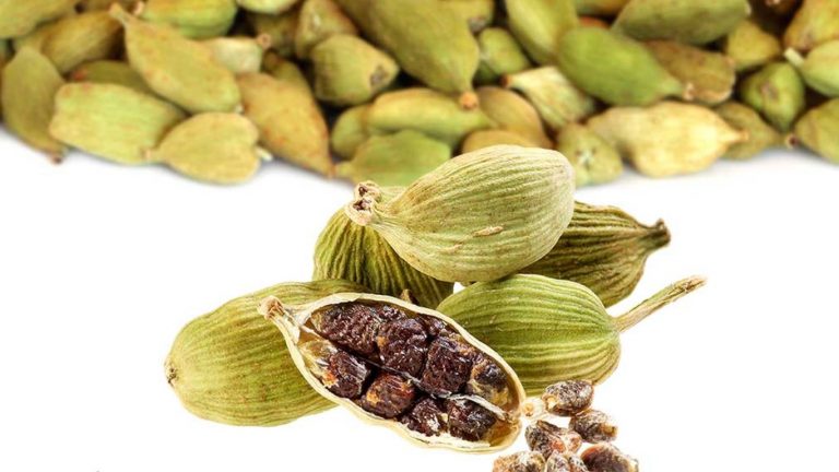 Cardamom: చిన్నవిగా ఉన్నాయని తీసిపారేయకండి.. వీటి ప్రయోజనాలు తెలిస్తే అసలు వదలరు..