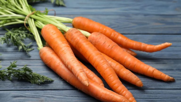 Eating Carrots Daily: ప్రతిరోజూ క్యారెట్లు తింటే ఇన్ని లాభాలా..?