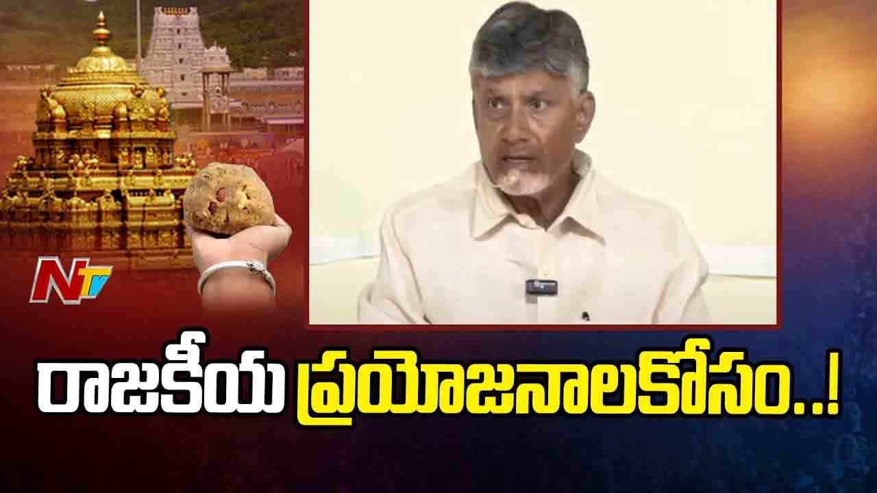 AP CM Chandrababu: లడ్డూ వివాదంపై సీఎం చంద్రబాబు కీలక వ్యాఖ్యలు