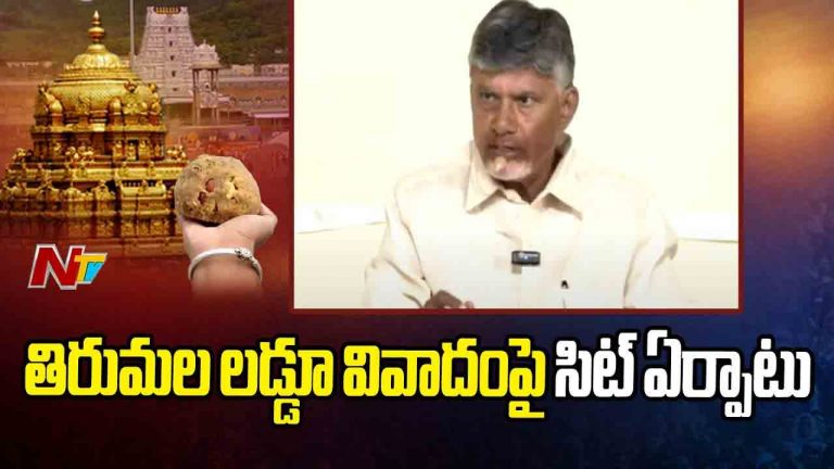 CM Chandrababu: తిరుమలలో జరిగిన అపచారంపై ఐజీ స్థాయి అధికారితో సిట్