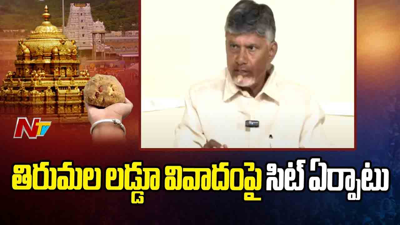 CM Chandrababu: తిరుమలలో జరిగిన అపచారంపై ఐజీ స్థాయి అధికారితో సిట్