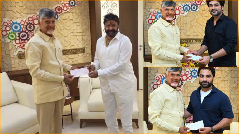 CM Relief Fund: ఆపన్నహస్తం.. సీఎం చంద్రబాబును కలిసి చెక్కులు అందించిన దాతలు