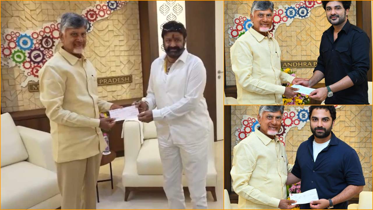 CM Relief Fund: ఆపన్నహస్తం.. సీఎం చంద్రబాబును కలిసి చెక్కులు అందించిన దాతలు