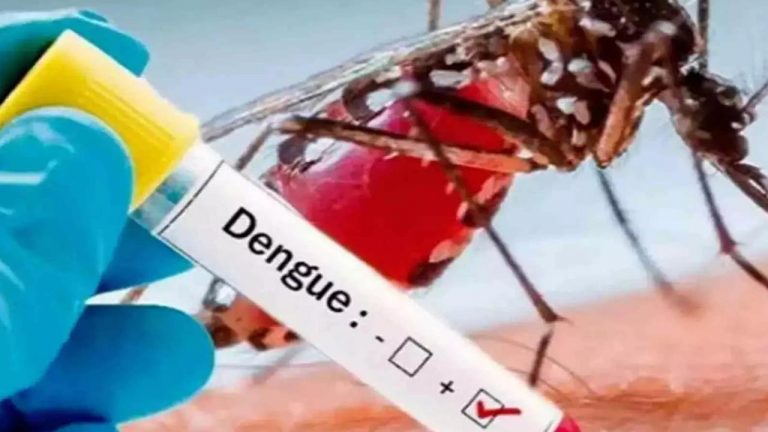 Karnataka Govt: కర్ణాటకలో భారీగా డెంగ్యూ కేసులు.. నిబంధనలను ఉల్లంఘిస్తే కఠిన చర్యలే..!