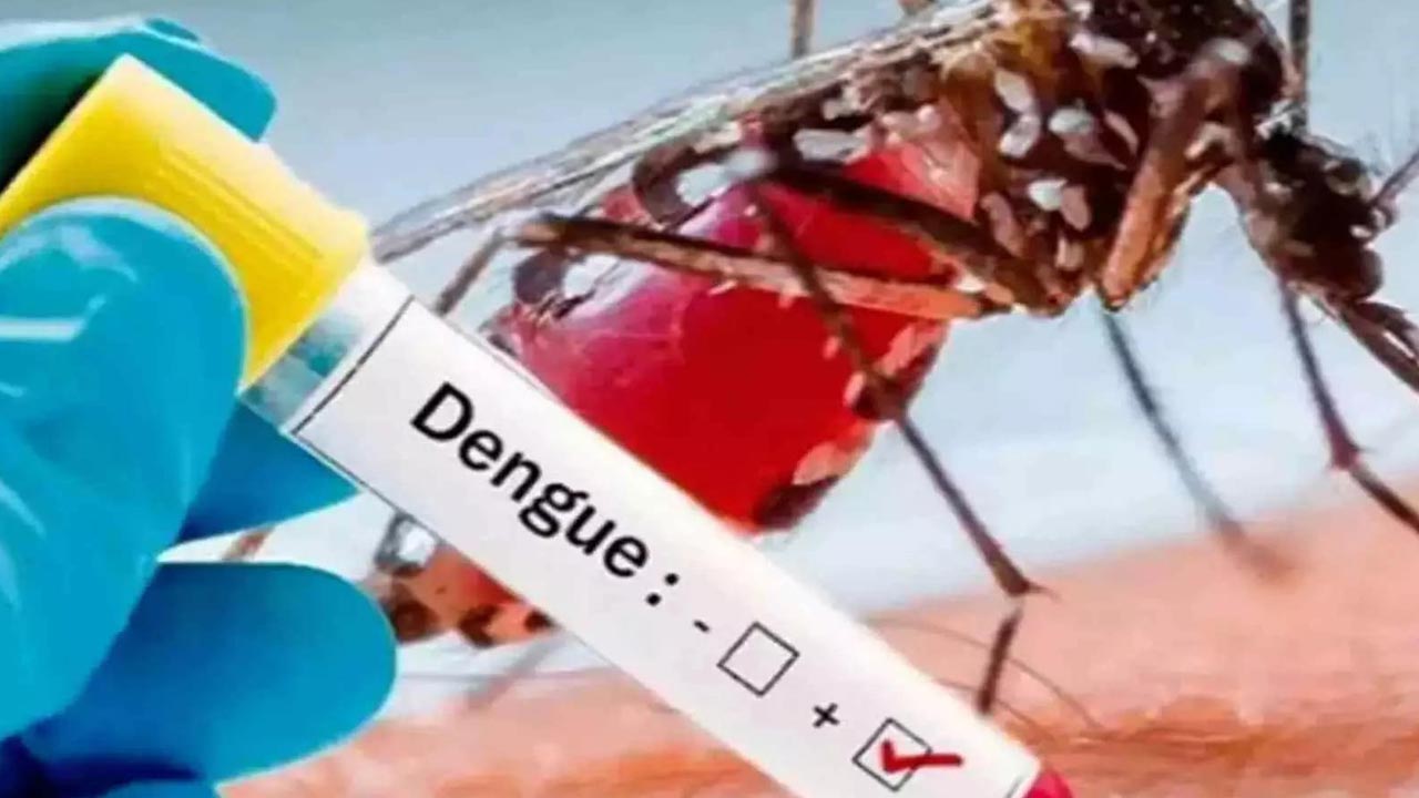 Karnataka Govt: కర్ణాటకలో భారీగా డెంగ్యూ కేసులు.. నిబంధనలను ఉల్లంఘిస్తే కఠిన చర్యలే..!