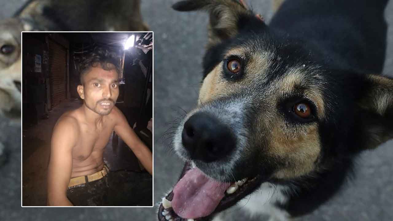 AP Crime: కుక్కలు మొరగడంతో పరుగులు పెట్టాడు.. దొంగ అనుకొని కట్టేసి కొట్టారు..