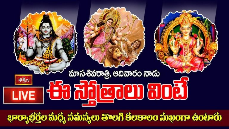 Sunday Stotram: ఈస్తోత్రాలు వింటే భార్యాభర్తల మధ్య సమస్యలు తొలగి సుఖంగా ఉంటారు..