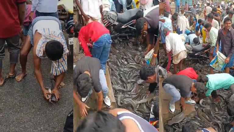 Mahabubabad: రోడ్డుపై బోల్తాపడిన చేపలలోడు బొలోరో వాహనం..