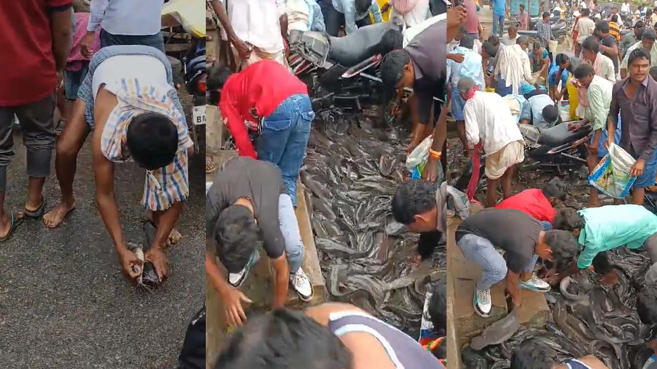 Mahabubabad: రోడ్డుపై బోల్తాపడిన చేపలలోడు బొలోరో వాహనం..