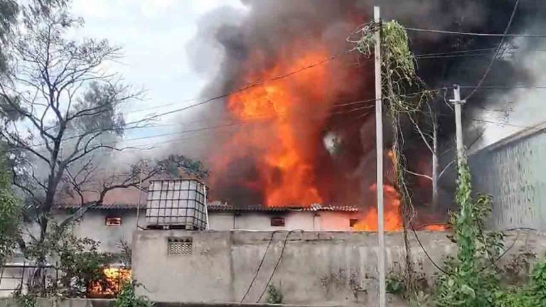 Hyderabad: నాచారం పారిశ్రామిక వాడలో భారీ అగ్నిప్రమాదం..