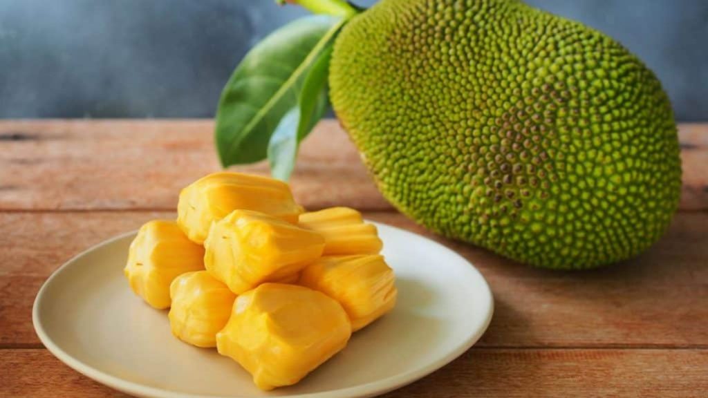 Jack Fruit