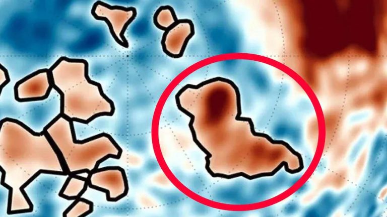 Mars: అంగారక గ్రహంపై ‘కుక్క’ ? ఎక్కడి నుంచి వచ్చింది?