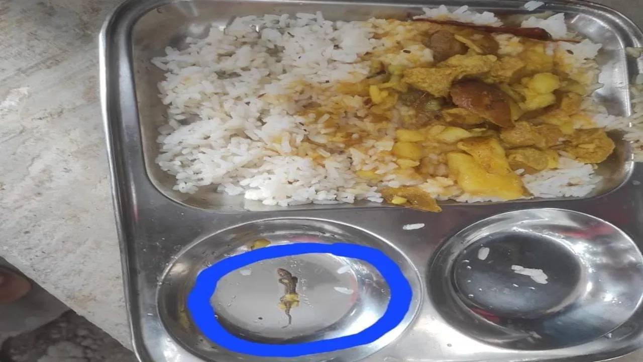 Bihar : షాకింగ్.. పిల్లలకు పెట్టే భోజనంలో చనిపోయిన బల్లి