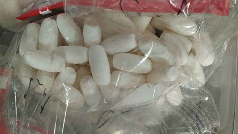 Drug Seize : ఢిల్లీ అంతర్జాతీయ విమానాశ్రయం లో రూ.25కోట్లు విలువ చేసే డ్రగ్స్ సీజ్