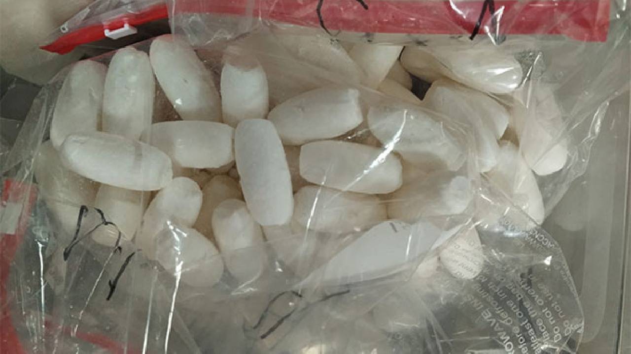 Drug Seize : ఢిల్లీ అంతర్జాతీయ విమానాశ్రయం లో రూ.25కోట్లు విలువ చేసే డ్రగ్స్ సీజ్