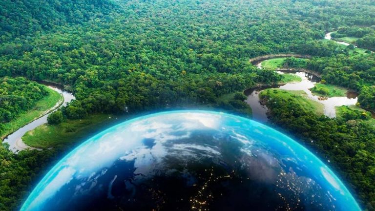 Amazon Rain Forest : షాకింగ్.. అమెజాన్ అడవుల్లో రెండు దేశాలకు సమానమైన ప్రాంతాన్ని నరికేశారట