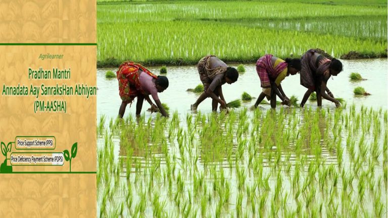 PM-AASHA : రైతులకు కేంద్రం గుడ్ న్యూస్.. పథకానికి రూ. 35,000 కోట్లు కేటాయింపు