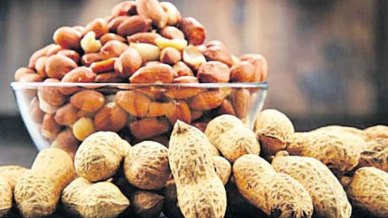 Every Day Peanuts: తరుచుగా పల్లీలను తింటే జరిగేది ఇదే..