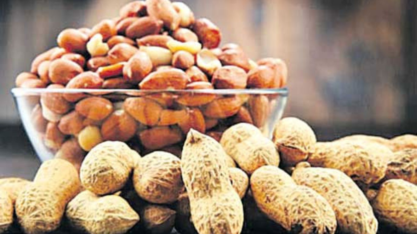 Every Day Peanuts: తరుచుగా పల్లీలను తింటే జరిగేది ఇదే..