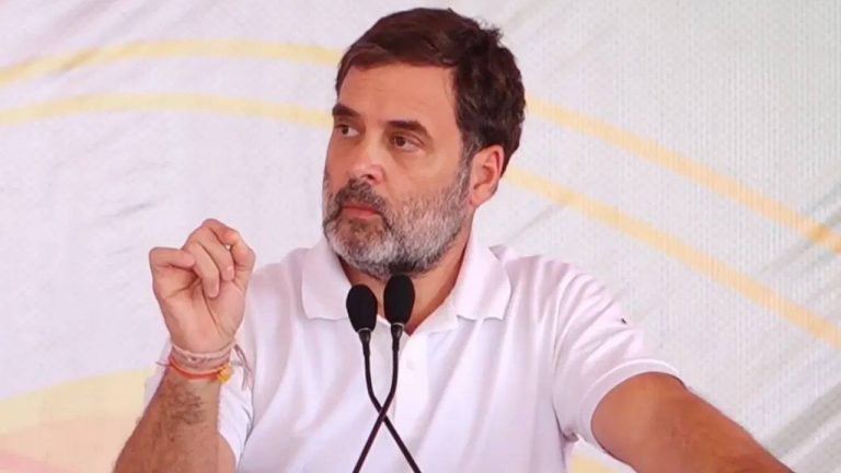 Rahul Gandhi : హర్యానా ఎన్నికలకు కాంగ్రెస్ మెగా ప్లాన్ రెడీ.. చివరి వారంలో ఈ సీట్లపైనే ఫోకస్