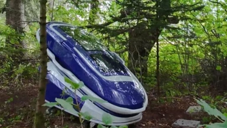 Suicide Pod: సూసైడ్ పాడ్‌తో మహిళ ఆత్మహత్య.. బటన్ నొక్కిన వెంటనే ఆగిపోయిన శ్వాస.. పలువురు అరెస్ట్