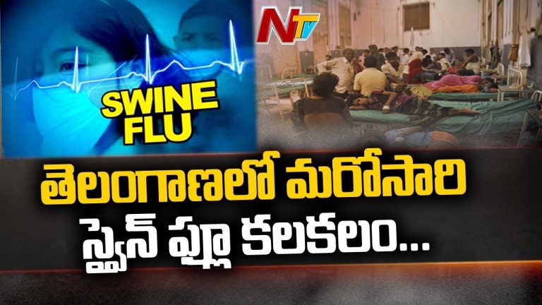 Swine Flu Cases: తెలంగాణలో స్వైన్‌ ఫ్లూ కలకలం..