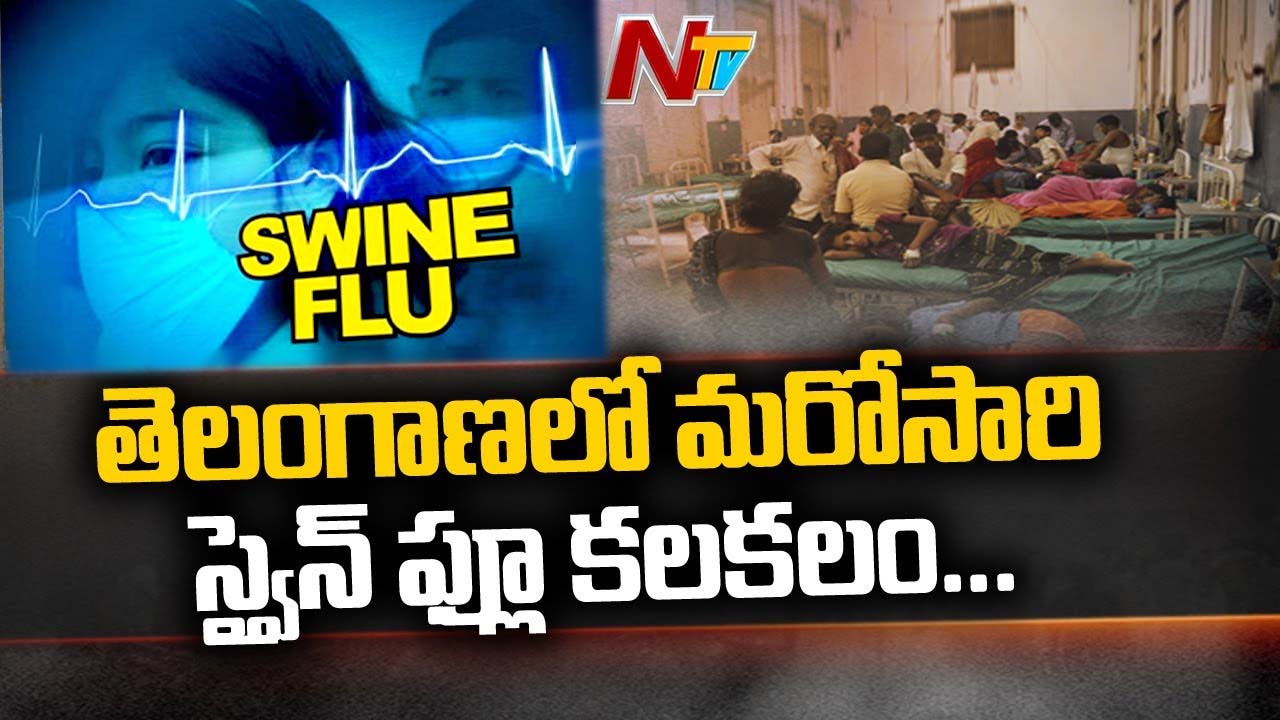 Swine Flu Cases: తెలంగాణలో స్వైన్‌ ఫ్లూ కలకలం..
