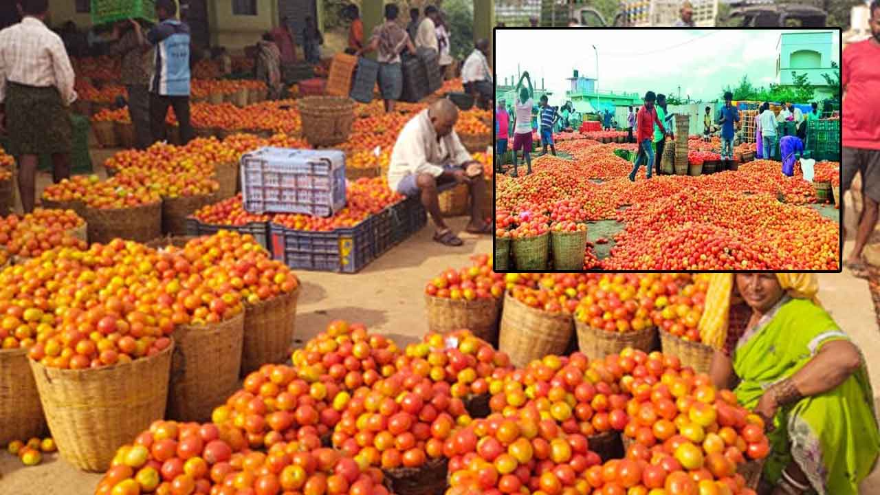 Tomato Price: టమాటా ధర భారీగా పతనం.. రైతుల గగ్గోలు..