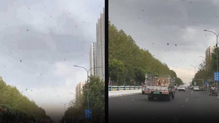 Underwear Raining : చైనాలో అండర్ వేర్ తుపాన్.. ఆశ్చర్యపోయిన జనం