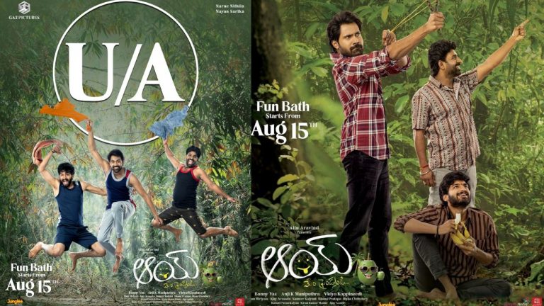 AAY : 16 రోజులు.. కేక పుట్టించిన కలెక్షన్స్.. సక్సెస్ పార్టీ కి ‘ఆయ్’ టీమ్ రెడీ..