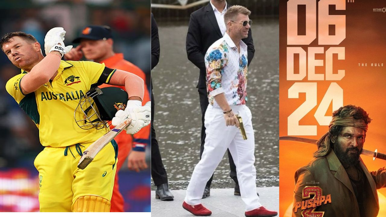 David Warner : పుష్ప – 2లో ఆస్ట్రేలియా స్టార్ ఓపెనర్ డేవిడ్ వార్నర్..?