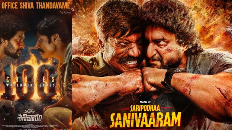 Nani : సరిపోదా శనివారం హిట్టే…కానీ అక్కడ మాత్రం నష్టాలు తప్పలేదు..