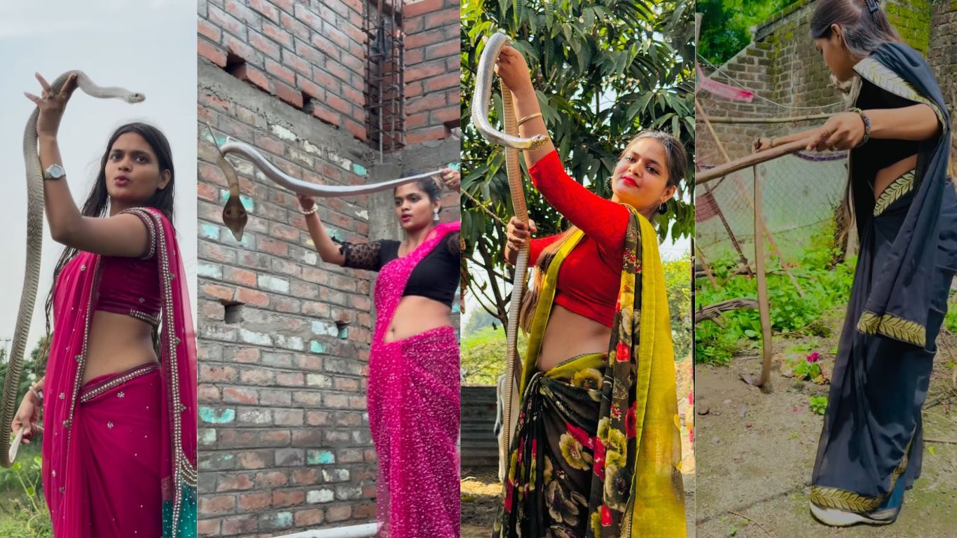 Beauty With Talent: ఈ అమ్మాయి ఏంట్రా బాబు.. ఇంత సులువుగా పాములను పట్టేస్తోంది..