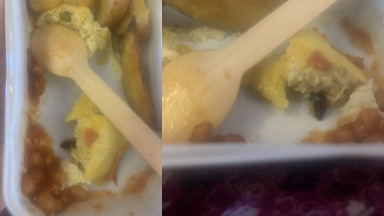 Air India: విమానంలో వడ్డించిన ఆమ్లెట్‌లో బొద్దింక.!