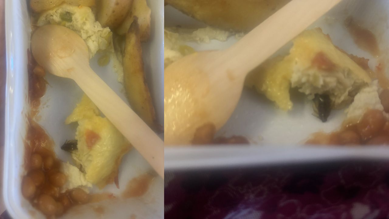 Air India: విమానంలో వడ్డించిన ఆమ్లెట్‌లో బొద్దింక.!