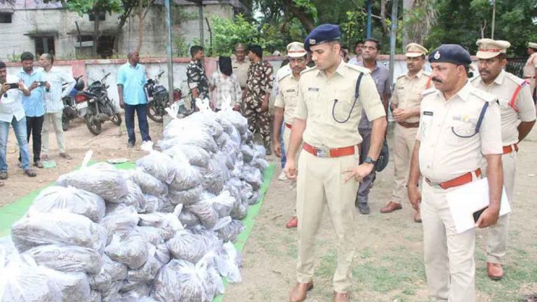 Ganja Smuggling :  అంతరాష్ట్ర గంజాయి ముఠా సభ్యుల అరెస్ట్.. 900 కిలోల గంజాయి సీజ్‌