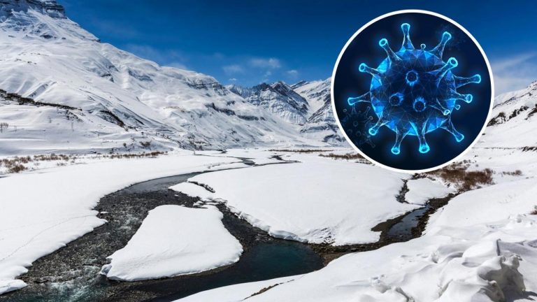 Virus In Himalayas: హిమాలయ మంచు పొరల్లో వైరస్‌ను గుర్తించిన శాస్త్రవేత్తలు