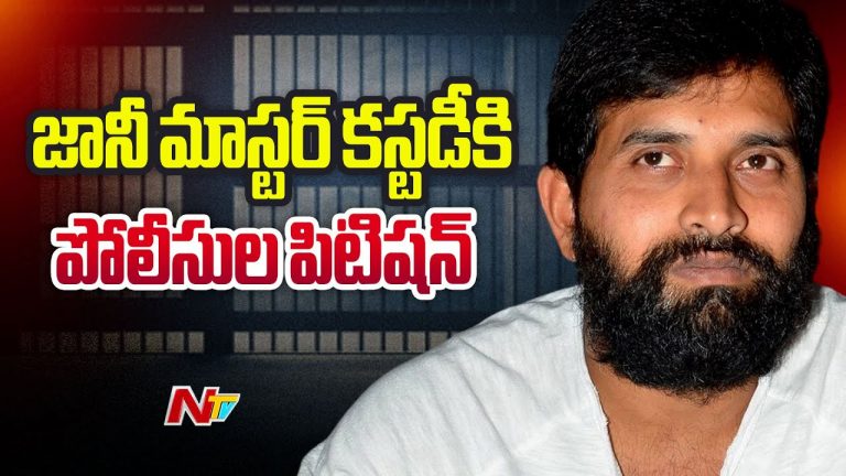 Jani Master: జానీ మాస్టర్ కస్టడీ పిటిషన్.. తీర్పు రేపటికి వాయిదా