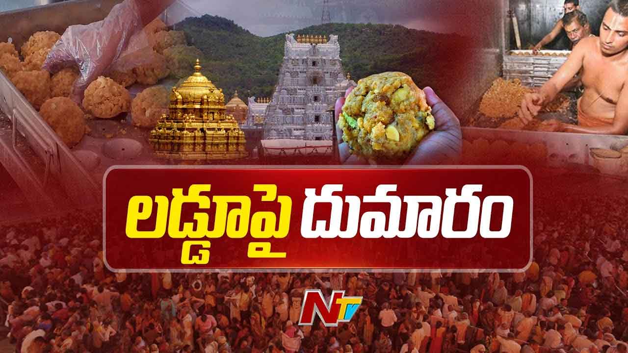 Tirumala Laddu controversy: తిరుమల లడ్డూల్లో కల్తీ నెయ్యి..! ఇప్పుడిదే హాట్‌ టాపిక్‌..