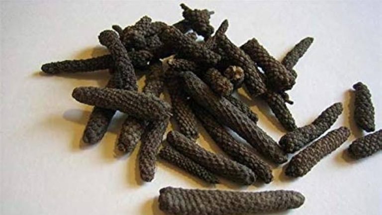 Long Pepper: పిప్పళ్లు గురించి తెలుసా.? వీటి వల్ల ఎన్ని ఆరోగ్య ప్రయోజనాలో..