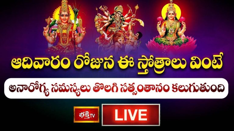 Mahalskshmi Stotram: ఈ స్తోత్రాలు వింటే అనారోగ్య సమస్యలు తొలగి సత్సంతానం కలుగుతుంది..