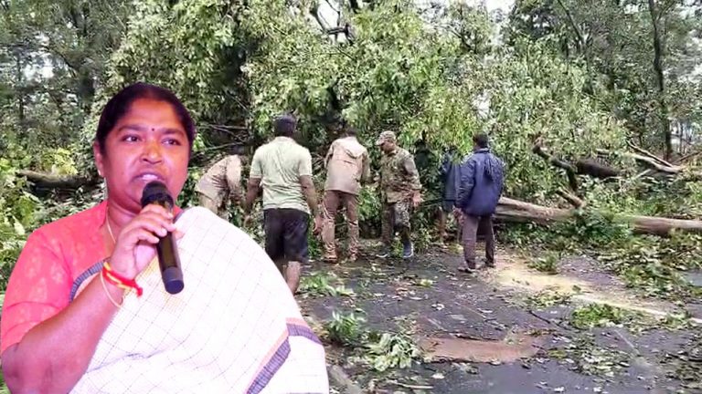 Minister Sitakka: ములుగులో 500 ఎక‌రాల్లో చెట్లు నేల‌కొర‌గ‌డంపై మంత్రి సీత‌క్క ఆరా..