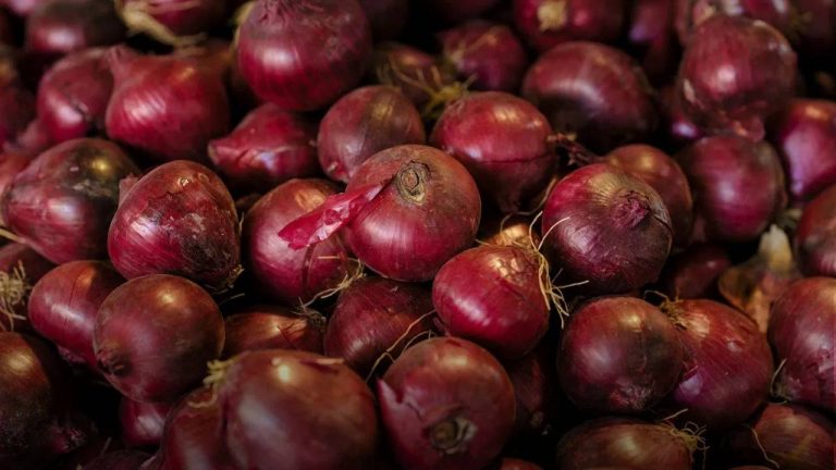 Onion Export: ఉల్లి రైతులకు గుడ్ న్యూస్.. ఎగుమతులపై నిషేధం ఎత్తివేసిన ప్రభుత్వం
