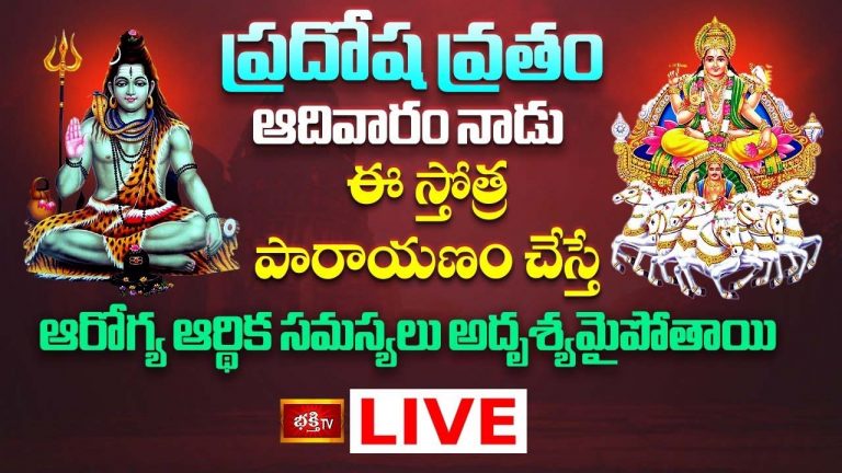 Pradosha Vratham: ప్రదోష వ్రతం నాడు ఈ స్తోత్ర పారాయణం చేస్తే..