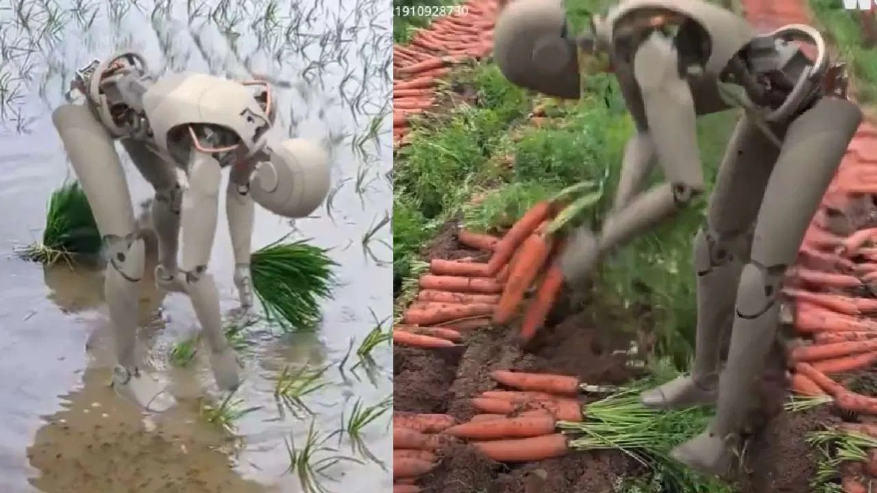 Farmer Robot: రోబోట్ రైతులా మారితే ఇట్లే ఉంటుంది కాబోలు..(వీడియో)