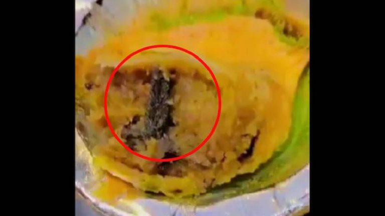Frog leg in samosa: సమోసాలో “కప్ప కాలు”.. వీడియో వైరల్..