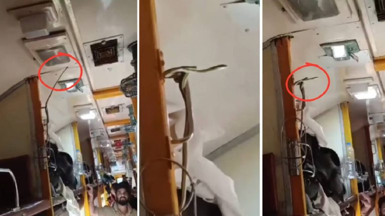 Snake In Train: రైలు ఏసీ కోచ్‌లో పాము.. వైరల్ అవుతున్న వీడియో..