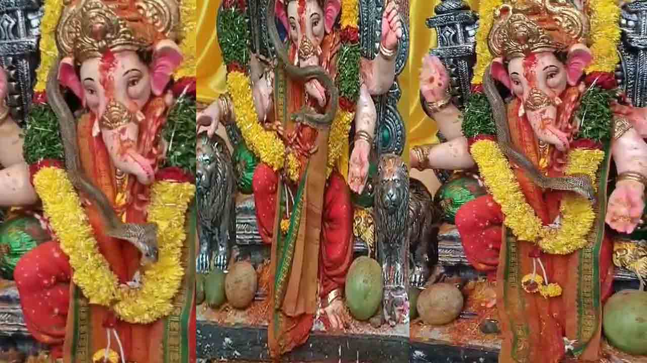 Snake into Ganesha’s Neck: గణపతి మెడలో నాగుపాము.. పూజలు చేసిన భక్తులు