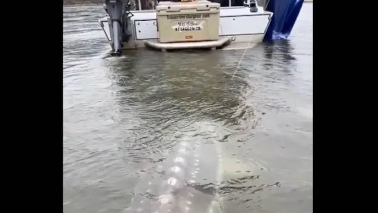 Viral Video: మత్స్యకారుల వలలో చిక్కుకున్న భయంకరమైన రాక్షస జీవి?(వీడియో)